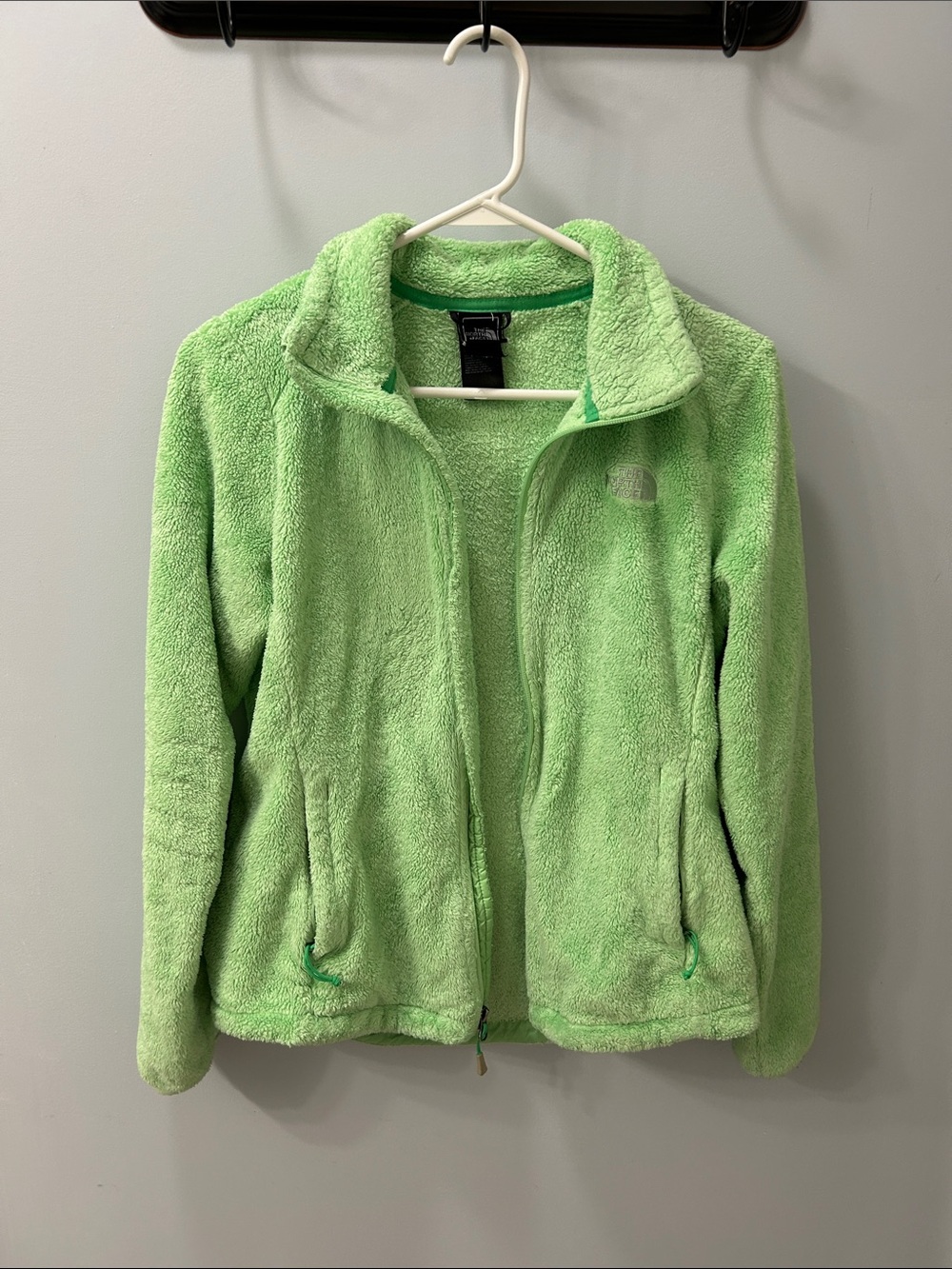 The North Face Women's Plush Full-Zip Teddy Jacket in Light Green